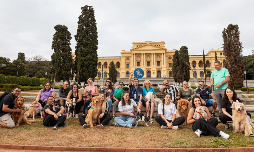 Celebre o Dia Mundial do Turismo em São Paulo com Novos Passeios Guiados